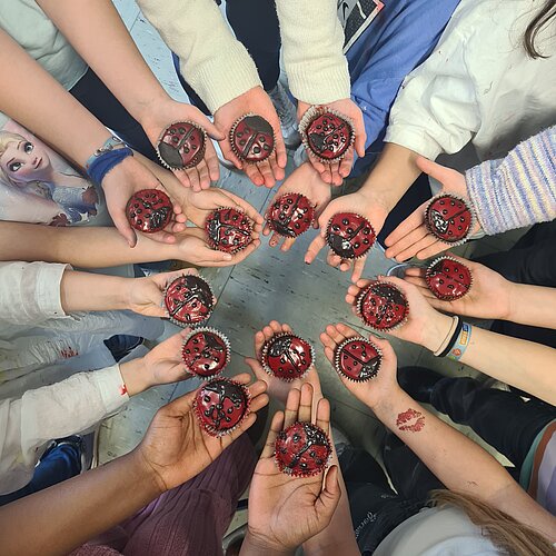 2026_Marienkaefer_Muffins__3_