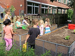 Kinder_im_Garten_giessen_die_Pflanzen