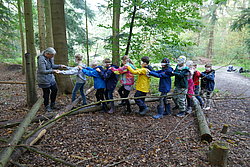 Waldtag_4b_2021__2_
