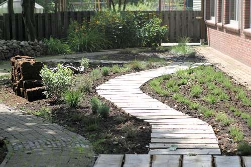 image-1281